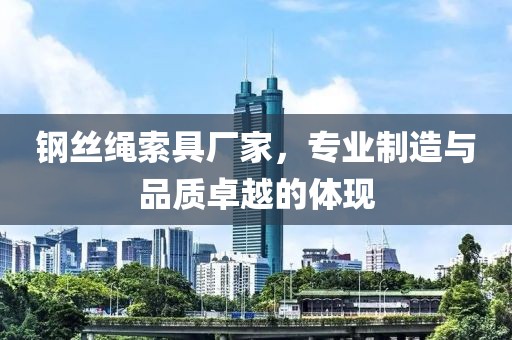 鋼絲繩索具廠家，專業(yè)制造與品質(zhì)卓越的體現(xiàn)