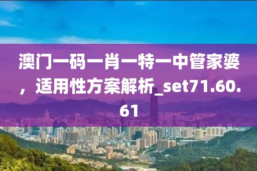 澳門一碼一肖一特一中管家婆，適用性方案解析_set71.60.61