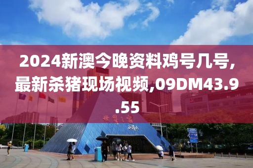 2024新澳今晚資料雞號幾號,最新殺豬現(xiàn)場視頻,09DM43.9.55