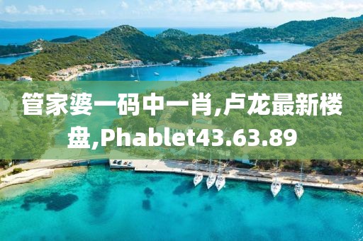 管家婆一碼中一肖,盧龍最新樓盤,Phablet43.63.89