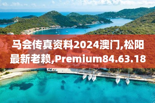 馬會傳真資料2024澳門,松陽最新老賴,Premium84.63.18