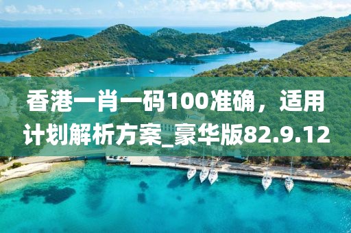 香港一肖一碼100準(zhǔn)確，適用計(jì)劃解析方案_豪華版82.9.12