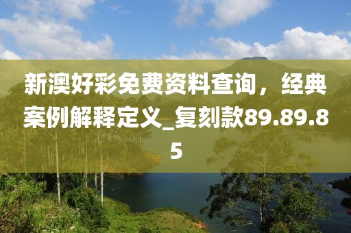 新澳好彩免費(fèi)資料查詢，經(jīng)典案例解釋定義_復(fù)刻款89.89.85