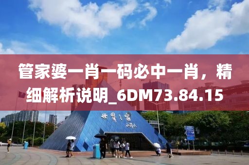 管家婆一肖一碼必中一肖，精細解析說明_6DM73.84.15