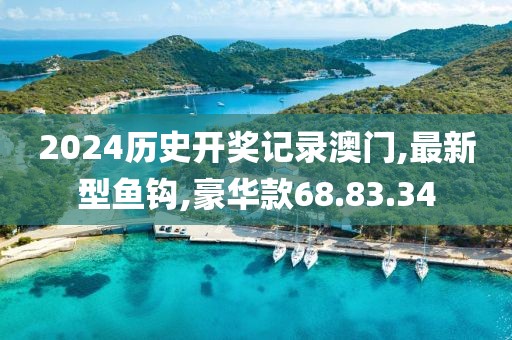 2024歷史開(kāi)獎(jiǎng)記錄澳門,最新型魚(yú)鉤,豪華款68.83.34