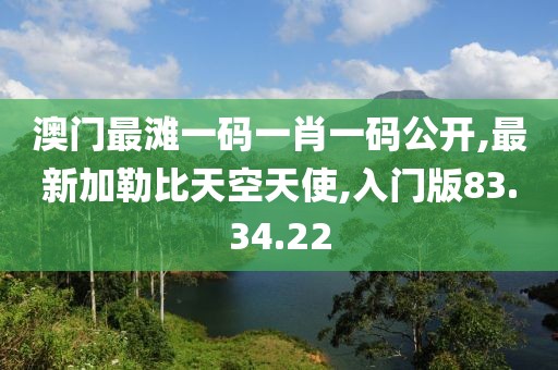 澳門(mén)最灘一碼一肖一碼公開(kāi),最新加勒比天空天使,入門(mén)版83.34.22