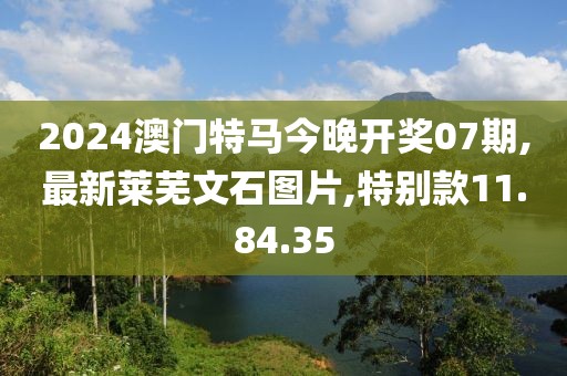 2024澳門特馬今晚開獎07期,最新萊蕪文石圖片,特別款11.84.35