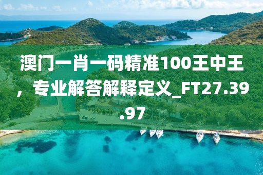 澳門一肖一碼精準(zhǔn)100王中王，專業(yè)解答解釋定義_FT27.39.97