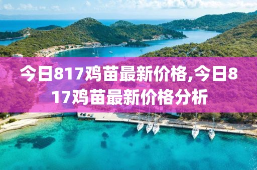 今日817雞苗最新價(jià)格,今日817雞苗最新價(jià)格分析