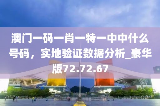 澳門一碼一肖一特一中中什么號碼，實(shí)地驗(yàn)證數(shù)據(jù)分析_豪華版72.72.67