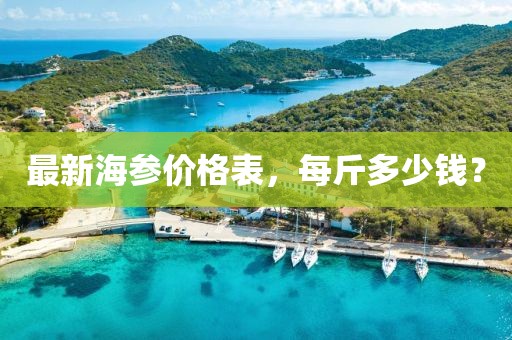 最新海參價格表，每斤多少錢？