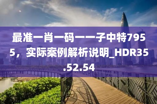 最準一肖一碼一一子中特7955，實際案例解析說明_HDR35.52.54