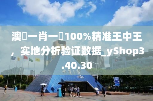 澳門一肖一碼100%精準王中王，實地分析驗證數(shù)據(jù)_yShop3.40.30