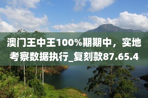 澳門王中王100%期期中，實(shí)地考察數(shù)據(jù)執(zhí)行_復(fù)刻款87.65.4