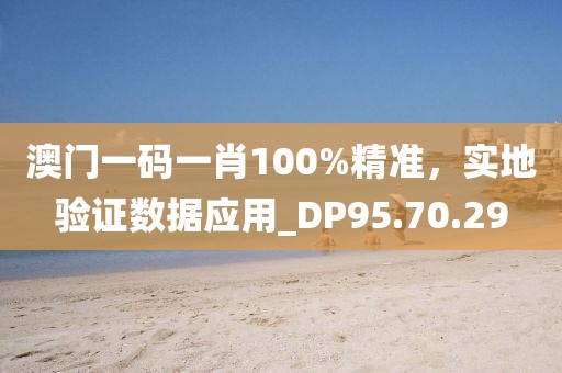 澳門一碼一肖100%精準，實地驗證數(shù)據(jù)應用_DP95.70.29