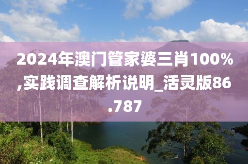 2024年澳門管家婆三肖100%,實(shí)踐調(diào)查解析說明_活靈版86.787