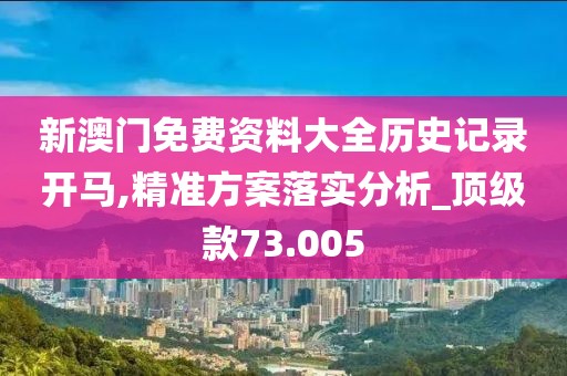 新澳門免費資料大全歷史記錄開馬,精準方案落實分析_頂級款73.005