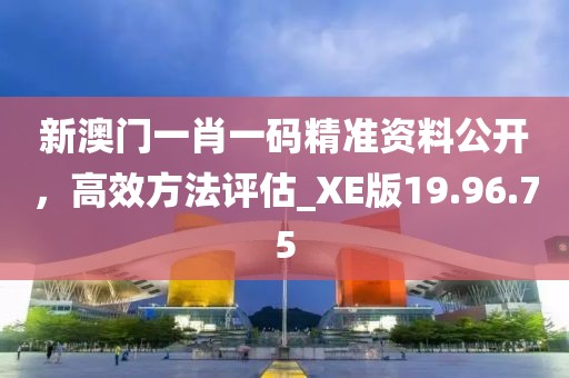 新澳門一肖一碼精準資料公開，高效方法評估_XE版19.96.75