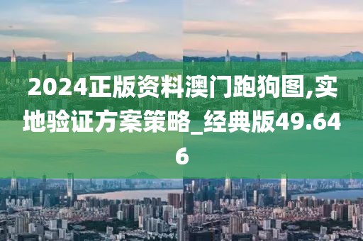 2024正版資料澳門(mén)跑狗圖,實(shí)地驗(yàn)證方案策略_經(jīng)典版49.646