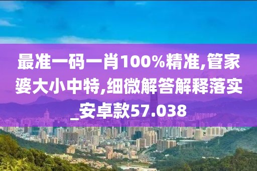 最準(zhǔn)一碼一肖100%精準(zhǔn),管家婆大小中特,細(xì)微解答解釋落實(shí)_安卓款57.038