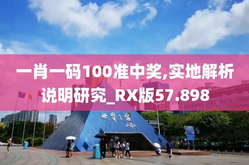 一肖一碼100準(zhǔn)中獎(jiǎng),實(shí)地解析說明研究_RX版57.898