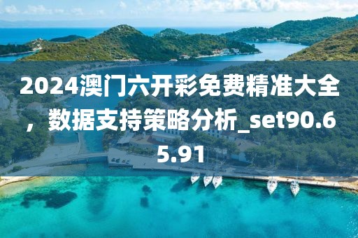 2024澳門六開彩免費精準大全，數(shù)據(jù)支持策略分析_set90.65.91