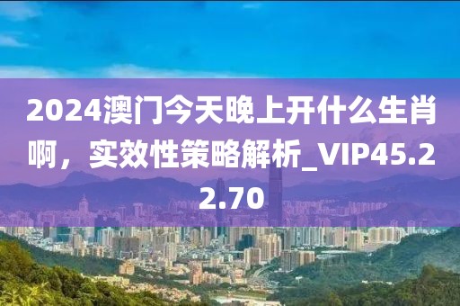 2024澳門今天晚上開什么生肖啊，實效性策略解析_VIP45.22.70