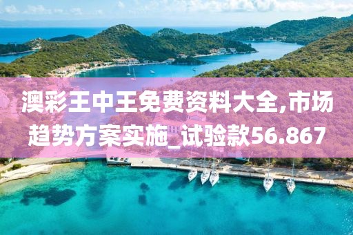 澳彩王中王免費資料大全,市場趨勢方案實施_試驗款56.867