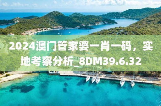 2024澳門管家婆一肖一碼，實(shí)地考察分析_8DM39.6.32