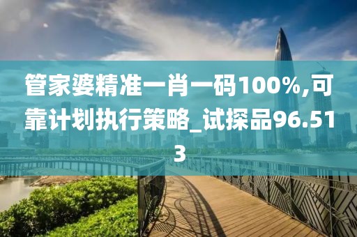 管家婆精準(zhǔn)一肖一碼100%,可靠計(jì)劃執(zhí)行策略_試探品96.513