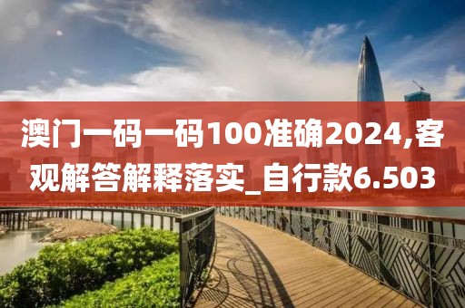 澳門一碼一碼100準(zhǔn)確2024,客觀解答解釋落實(shí)_自行款6.503