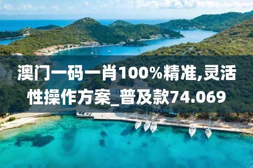 澳門一碼一肖100%精準(zhǔn),靈活性操作方案_普及款74.069