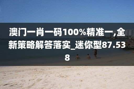 澳門一肖一碼100%精準(zhǔn)一,全新策略解答落實(shí)_迷你型87.538