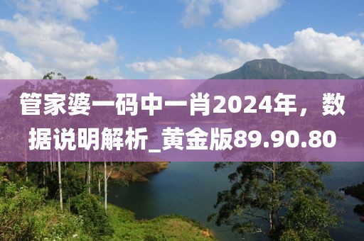 管家婆一碼中一肖2024年，數(shù)據(jù)說明解析_黃金版89.90.80