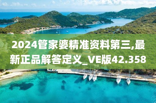 2024管家婆精準(zhǔn)資料第三,最新正品解答定義_VE版42.358