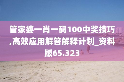 管家婆一肖一碼100中獎技巧,高效應用解答解釋計劃_資料版65.323