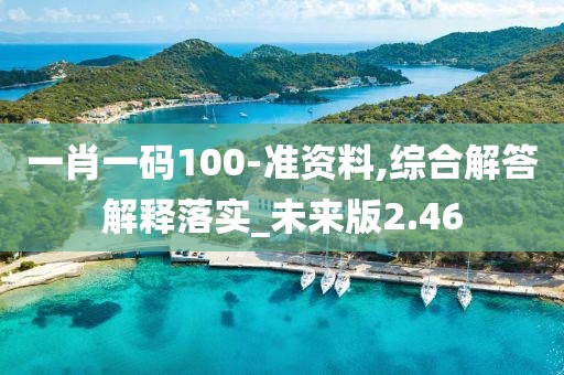 一肖一碼100-準(zhǔn)資料,綜合解答解釋落實_未來版2.46