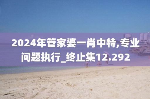 2024年管家婆一肖中特,專業(yè)問題執(zhí)行_終止集12.292