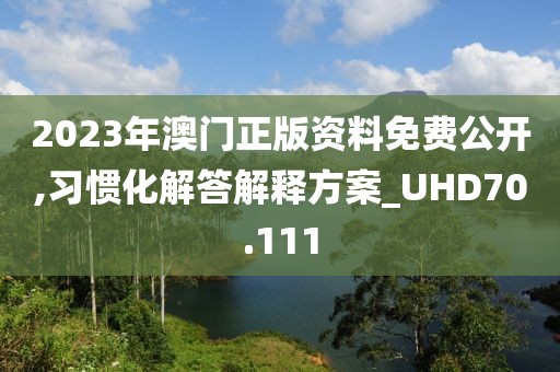 2023年澳門(mén)正版資料免費(fèi)公開(kāi),習(xí)慣化解答解釋方案_UHD70.111