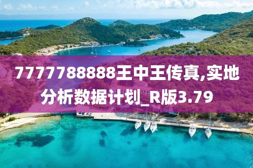 7777788888王中王傳真,實(shí)地分析數(shù)據(jù)計(jì)劃_R版3.79