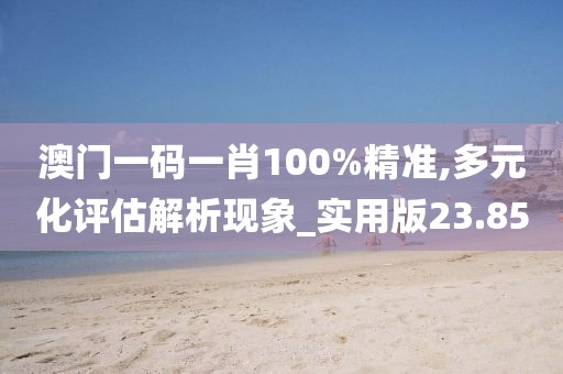 澳門一碼一肖100%精準(zhǔn),多元化評(píng)估解析現(xiàn)象_實(shí)用版23.85