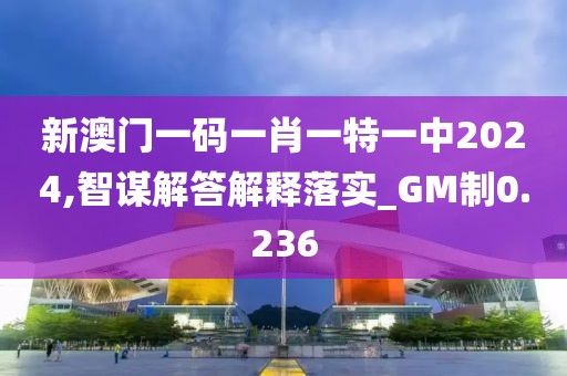 新澳門一碼一肖一特一中2024,智謀解答解釋落實_GM制0.236