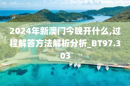 2024年新澳門今晚開什么,過程解答方法解析分析_BT97.303