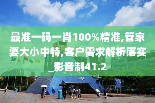 最準(zhǔn)一碼一肖100%精準(zhǔn),管家婆大小中特,客戶需求解析落實(shí)_影音制41.2