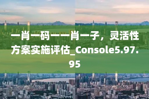 一肖一碼一一肖一子，靈活性方案實(shí)施評估_Console5.97.95