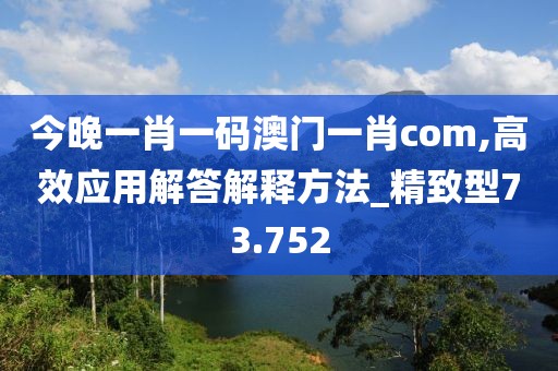 今晚一肖一碼澳門一肖com,高效應(yīng)用解答解釋方法_精致型73.752