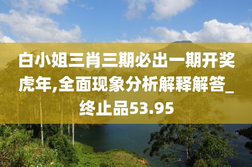 白小姐三肖三期必出一期開獎虎年,全面現(xiàn)象分析解釋解答_終止品53.95