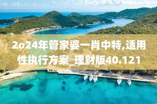 2o24年管家婆一肖中特,適用性執(zhí)行方案_理財(cái)版40.121