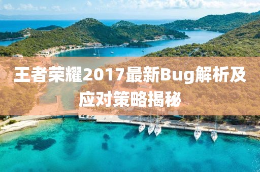 王者榮耀2017最新Bug解析及應(yīng)對策略揭秘