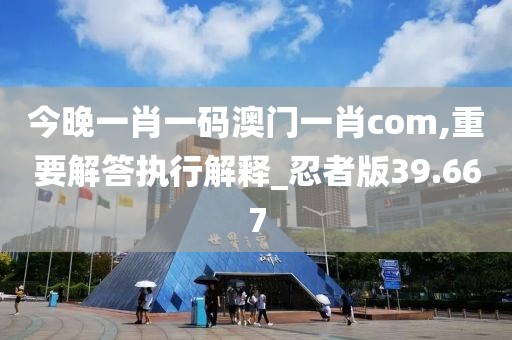 今晚一肖一碼澳門一肖com,重要解答執(zhí)行解釋_忍者版39.667